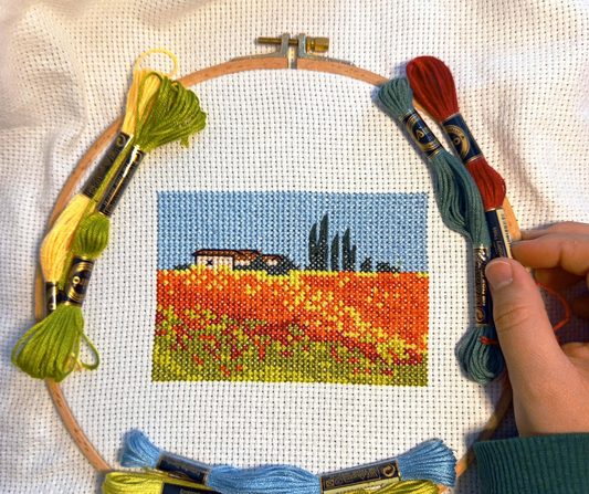 Needlepoint vs. Cross-Stitch: What's the Difference and Which One Is Right for You?
